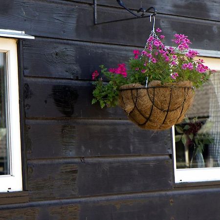 De Schaapskooi - Knus Veluws Vakantiehuisje Ede Ngoại thất bức ảnh